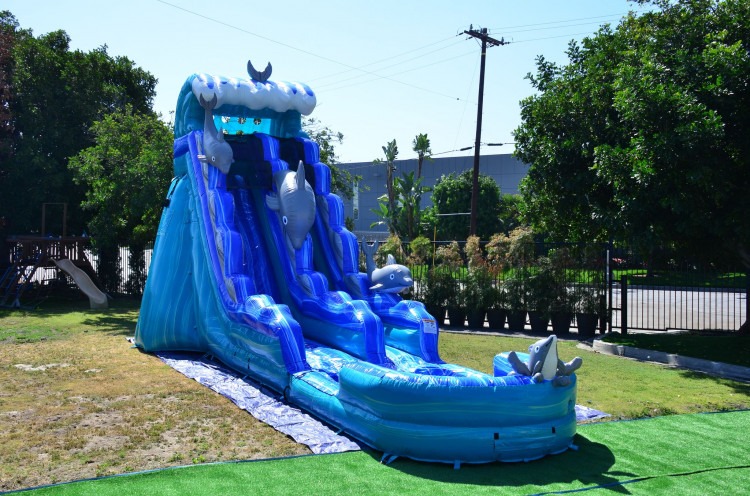 21′ Dolphin Water Slide