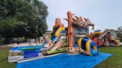 20230702 193212 1722300621 Alligator Swamp Bounce House W/Slide Combo