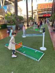 b24cc385 cbfa 4ec3 a49e 777eafedaa1c 1739295634 Mini Golf/Putt Putt