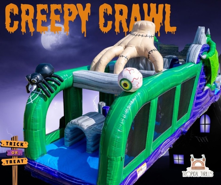 Monster Dragon Obstacle Double Lane Course