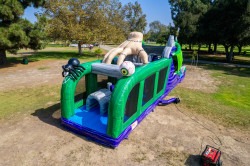 Monster20Dragon20Obstacle20Course20Tropical20Thrills20Enter 1 Monster Dragon Obstacle Double Lane Course