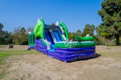Monster20Dragon20Obstacle20Course20Tropical20Thrills20Enter 3 Monster Dragon Obstacle Double Lane Course