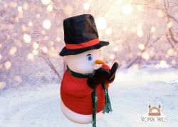 Snowman20Machine20Rental20Tropical20Thrills 1756594380 Snowman Machine Rental Snow