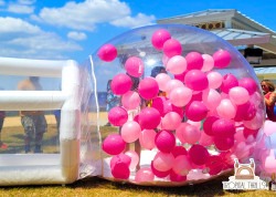 Bubble House/Inflatable Globe House, Christmas, Gender Reveal, Birthday